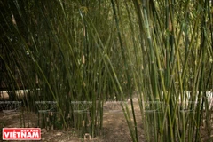 Traditional weaving trade in Tra Vinh province