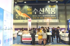RoK waives visa application fee for Vietnamese visitors