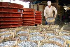 Village preserves scent of fish sauce