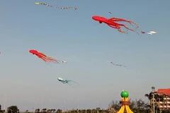 Kite flying festival colours up Tuy Hoa sky