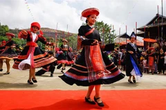 Vietnamese Guinness record of bamboo pole dance set
