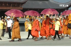 Volunteers – cultural ambassadors at Vesak 2019