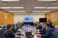 An overview of the meeting (Photo: VNA)