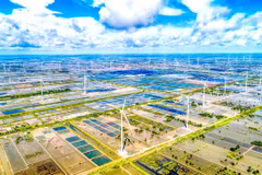 A wind farm in Bac Lieu province. Energy companies are planning investments in renewable energy to capture opportunities from energy transition. (Photo: VNA)