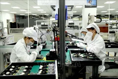 Production line at Star Engineers Vietnam Co., Ltd., Binh Xuyen Industrial Park, Vinh Phuc province (Photo: VNA)