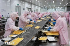 Processing aquatic products for export (Photo: VNA)