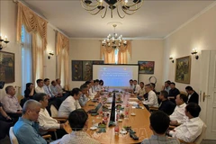 The meeting between Minister of Science and Technology Huynh Thanh Dat and scientists and intellectuals of the Vietnamese origin in Germany on June 26 (Photo: VNA)