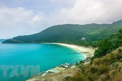 Four best spots for snorkelling in Vietnam