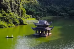 Korean musician brings Vietnamese beauty to the world ​
