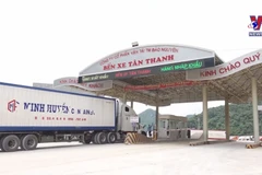Lang Son speeding up customs clearance for fresh fruit