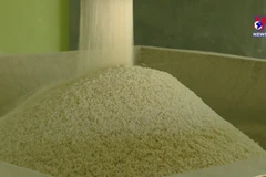 Over 130,000 tonnes of rice to be allocated to 24 pandemic-hit localities