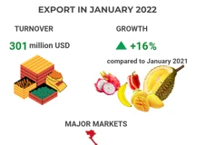 (Interactive) Vietnam gains strong growth in vegetable, fruit exports in January