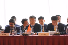 Deputy Minister of Public Security Major General Nguyen Ngoc Lam (centre) at the conference (Photo: VNA)