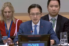 Deputy Minister of Foreign Affairs Do Hung Viet (Photo: VNA)