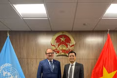 Ambassador Dang Hoang Giang, Permanent Representative of Vietnam to the United Nations (R) and Andreas Schaal, Director for OECD Global Relations and Cooperation, as well as the OECD Sherpa to the G7, the G20 and APEC. (Photo: VNA)
