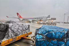 The shipment include solar-powered flashlights, kitchen utensils and tools, water filters and multipurpose tents (Photo: VNA)
