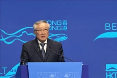 Permanent Deputy PM Nguyen Hoa Binh speaks at the meeting (Photo: VNA)