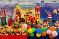 An art performance at the festival (Photo: VNA)