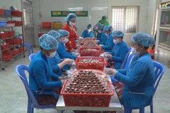 Efforts made to promote the craft of making Lai Vung rolls
