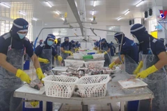 Vietnam’s tra fish exports expected to reach two bln USD in 2024