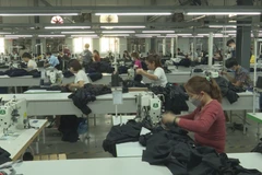 Positive indicators emerge in garment-textile sector exports