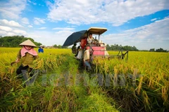 Vietnam, Germany cooperate in vocational training for farmers