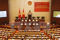Conference focuses on Party’s economy-related resolutions