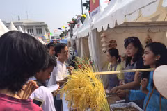 Vietnam’s signature Nem introduced at food festival in Indonesia