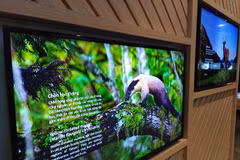  Exhibition shows biodiversity of Vietnam, Taiwan