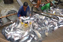 Fishery output exceeds 1 million tonnes in four months