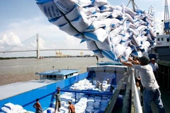 VFA hikes rice export target on strong demand