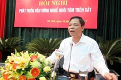 Central coastal provinces eye sustainable shrimp farming