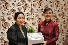 HCM City, Lao province boost cooperation