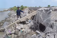 Ca Mau mobilises capital for sea embankment construction