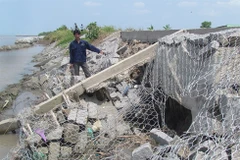 Ca Mau mobilises capital for sea embankment construction