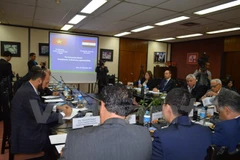 Egyptian firms updated on Vietnam’s investment policy 