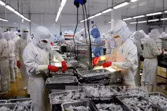 Seafood exports estimated at 8 bln USD in 2017