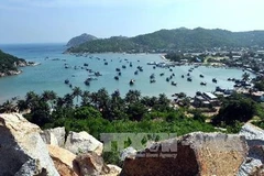 HCM City event highlights online tourism potential