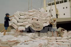 An Giang earns over 500 million USD from export in 8 months