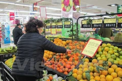 Franchise of Vietnamese brands just in initial stage: insiders