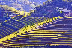Eight Tay Bac localities enjoy fruitful tourism cooperation