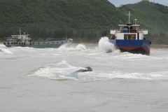 Deputy PM Trinh Dinh Dung directs response to storm Talas consequences