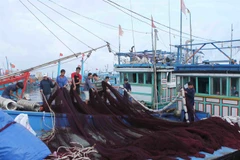  Islands should turn to green economy: expert