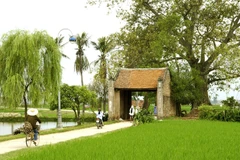 Hanoi starts offering classes in tourism skills