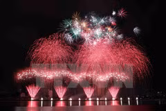 Da Nang: Cuisines become highlight of fireworks festival 