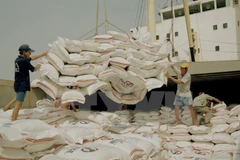 Rice export goal raised to 5.6 million tonnes this year 