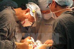 Japanese doctor named as Vietnam’s honorary consul in Nagoya