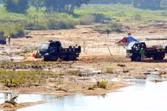 Binh Dinh orders three titanium companies to stop operations