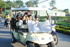 Electric cars carry visitors around Sa Dec flower village