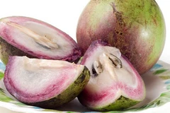 US approves star apple fruit imports from Vietnam